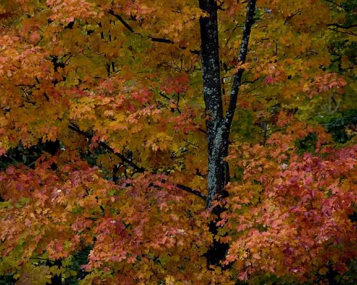 01 Barre 6414.jpg - Vermont
